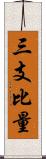 三支比量 Scroll