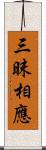 三昧相應 Scroll