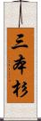 三本杉 Scroll