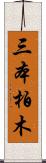 三本柏木 Scroll