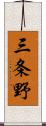 三条野 Scroll