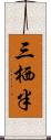 三栖半 Scroll