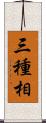 三種相 Scroll