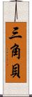 三角貝 Scroll