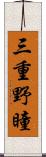三重野瞳 Scroll
