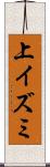 上イズミ Scroll