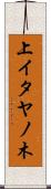 上イタヤノ木 Scroll