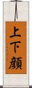 上下顔 Scroll