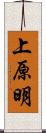 上原明 Scroll