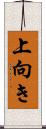 上向き Scroll