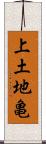 上土地亀 Scroll