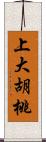 上大胡桃 Scroll