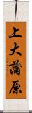 上大蒲原 Scroll