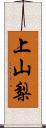 上山梨 Scroll