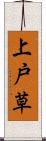 上戸草 Scroll