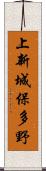 上新城保多野 Scroll