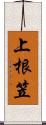 上根笠 Scroll