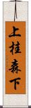 上桂森下 Scroll