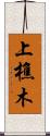 上樵木 Scroll