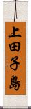 上田子島 Scroll