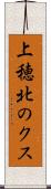 上穂北のクス Scroll