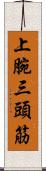 上腕三頭筋 Scroll