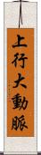 上行大動脈 Scroll