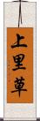 上里草 Scroll