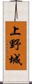 上野城 Scroll