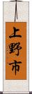 上野市 Scroll