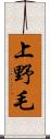 上野毛 Scroll