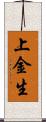 上金生 Scroll