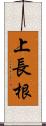 上長根 Scroll