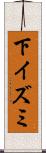 下イズミ Scroll