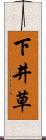 下井草 Scroll
