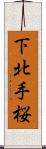 下北手桜 Scroll