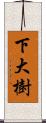 下大樹 Scroll