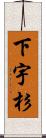 下宇杉 Scroll