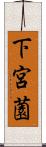 下宮薗 Scroll