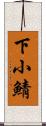 下小鯖 Scroll