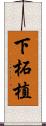 下柘植 Scroll