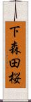 下森田桜 Scroll