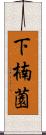 下楠薗 Scroll