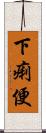 下痢便 Scroll