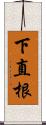 下直根 Scroll