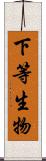 下等生物 Scroll