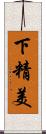 下精美 Scroll