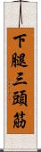 下腿三頭筋 Scroll