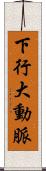 下行大動脈 Scroll