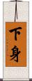 下身 Scroll
